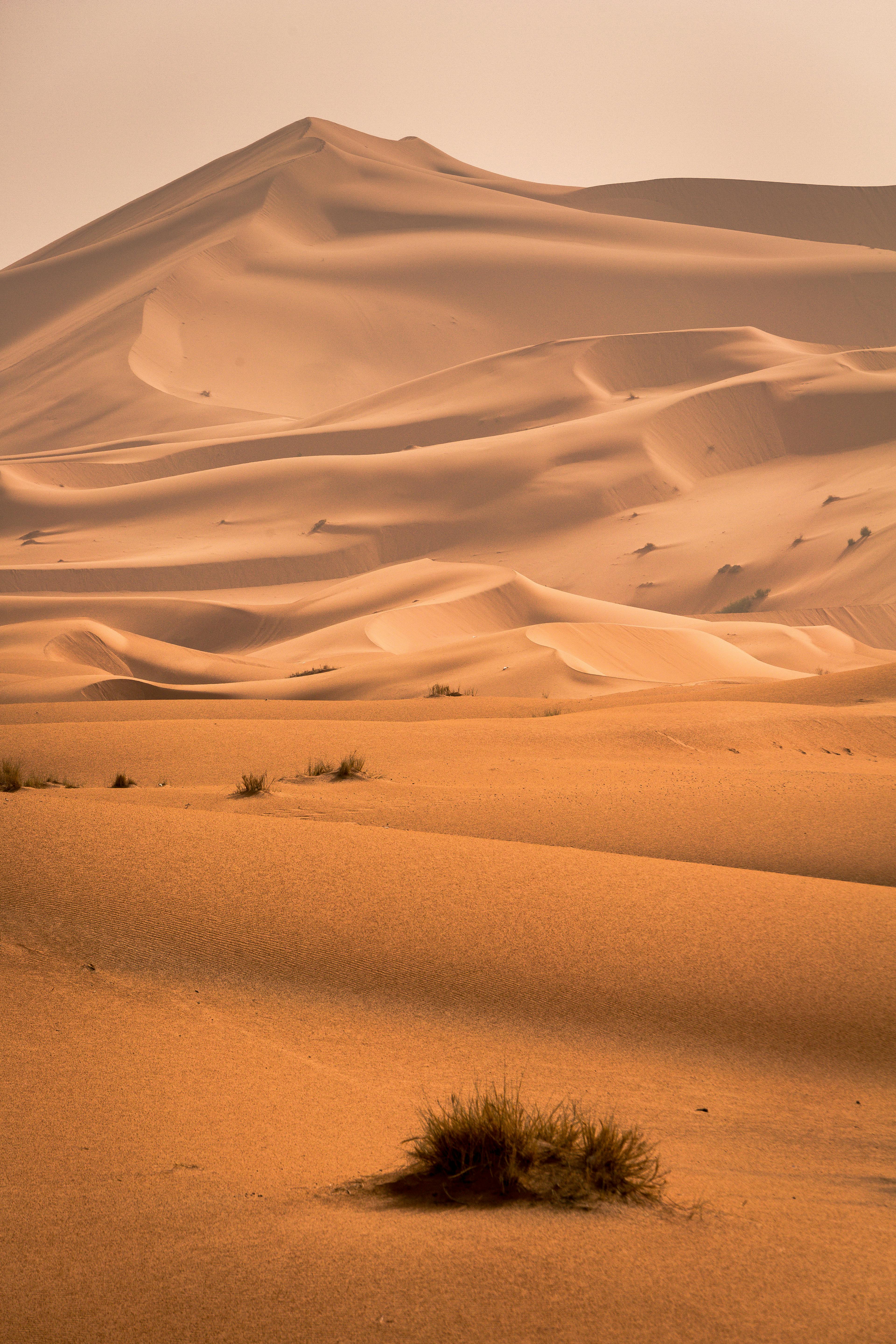 Sahara